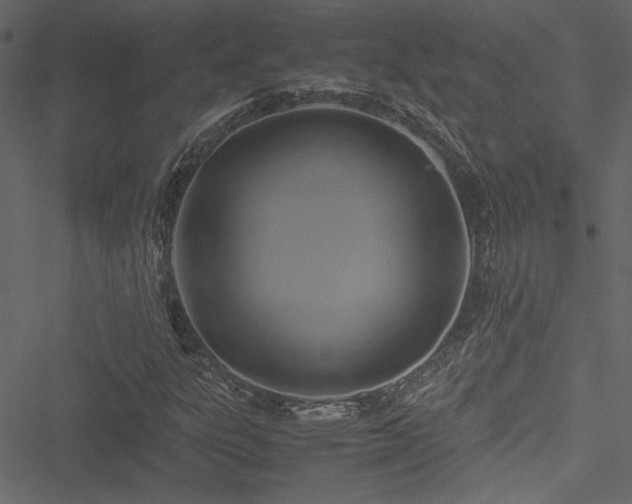 X0000051241303200506171100