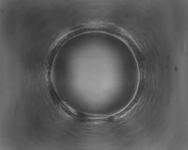 X0000051241304200506171100