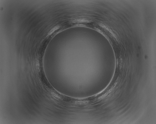 X0000051241305200506171100