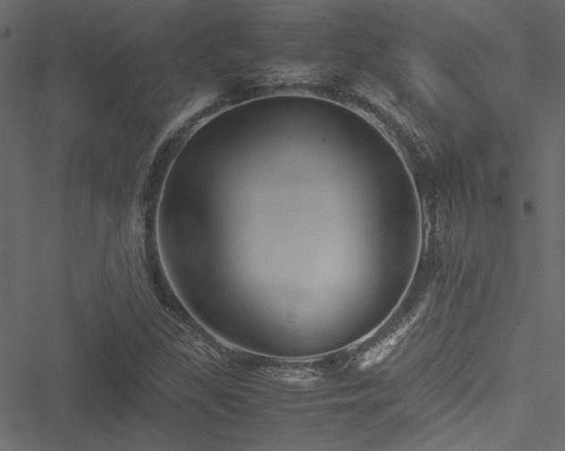 X0000051241309200506171100