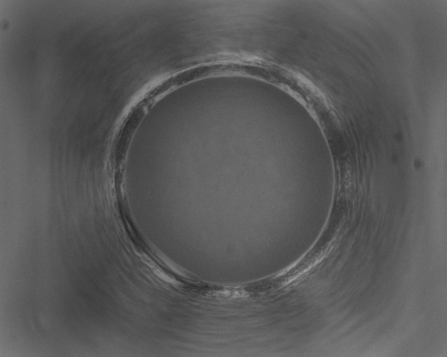 X0000051241310200506171100