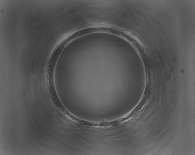 X0000051241311200506171100