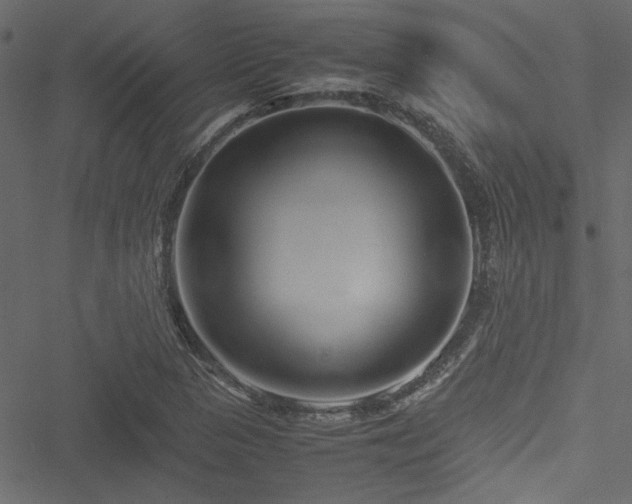 X0000051241313200506171100