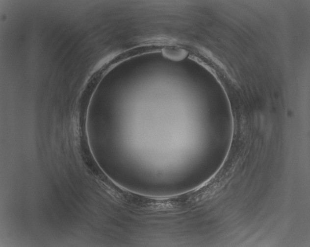 X0000051241315200506171100