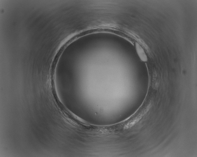 X0000051241316200506171100