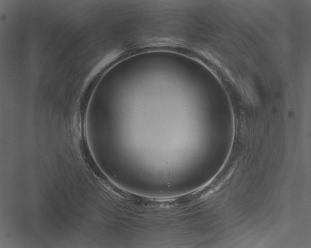 X0000051241317200506171100