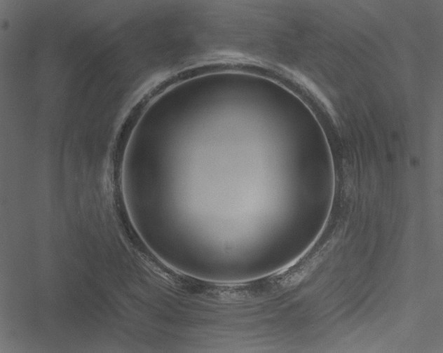 X0000051241318200506171100