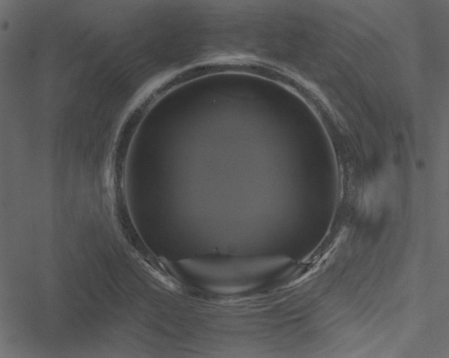 X0000051241319200506171100