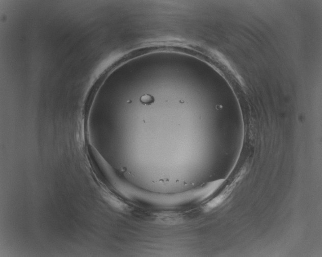 X0000051241320200506171100