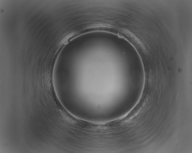 X0000051241321200506171100