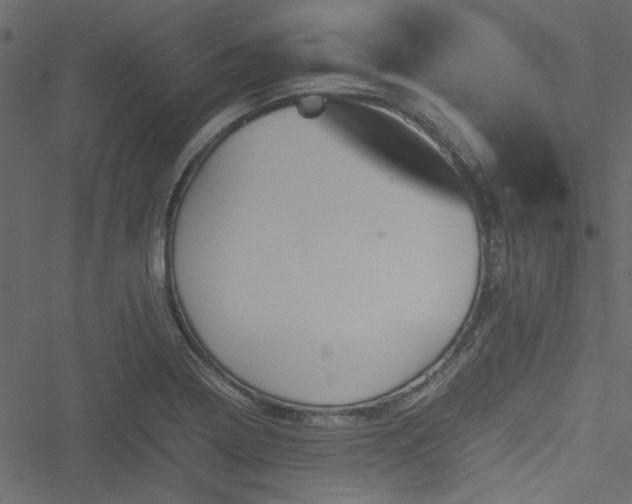 X0000051241322200506171100