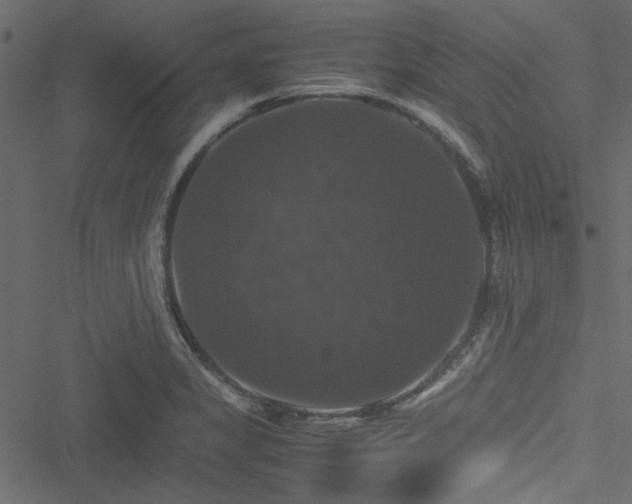 X0000051241325200506171100