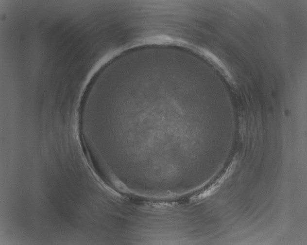 X0000051241326200506171100