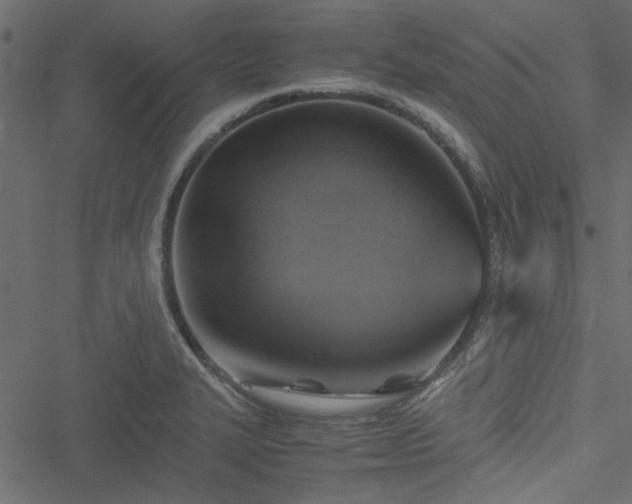 X0000051241327200506171100