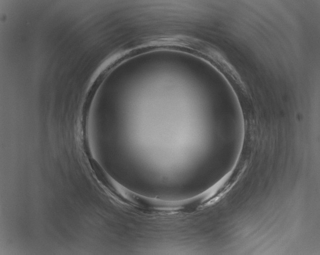 X0000051241328200506171100