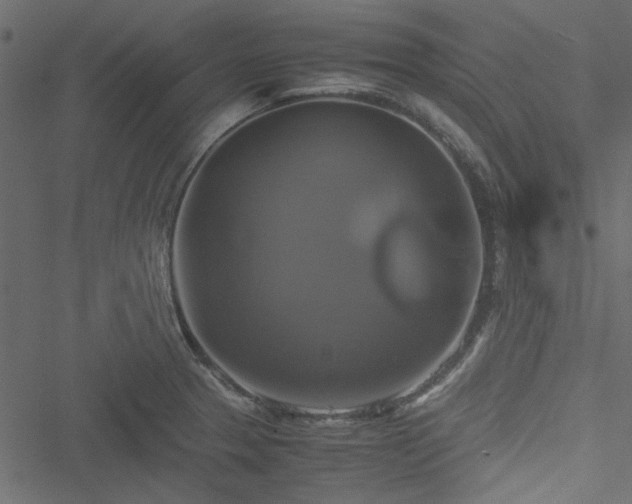 X0000051241329200506171100