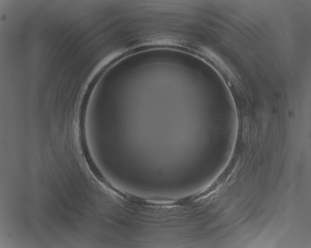 X0000051241331200506171100