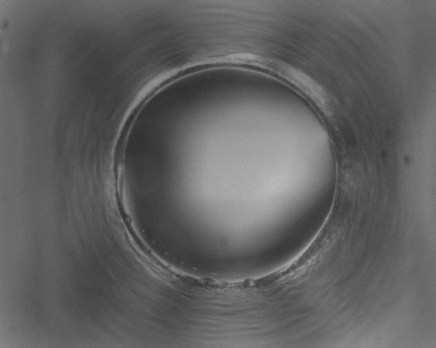 X0000051241332200506171100