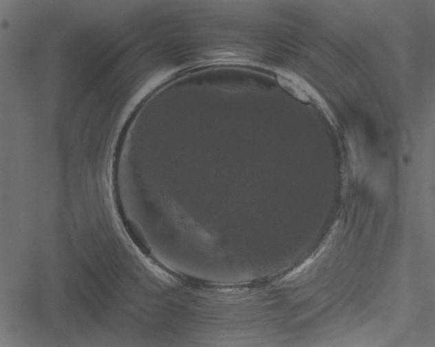 X0000051241333200506171100