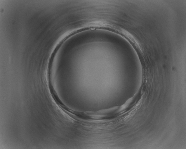 X0000051241334200506171100