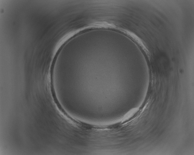 X0000051241335200506171100