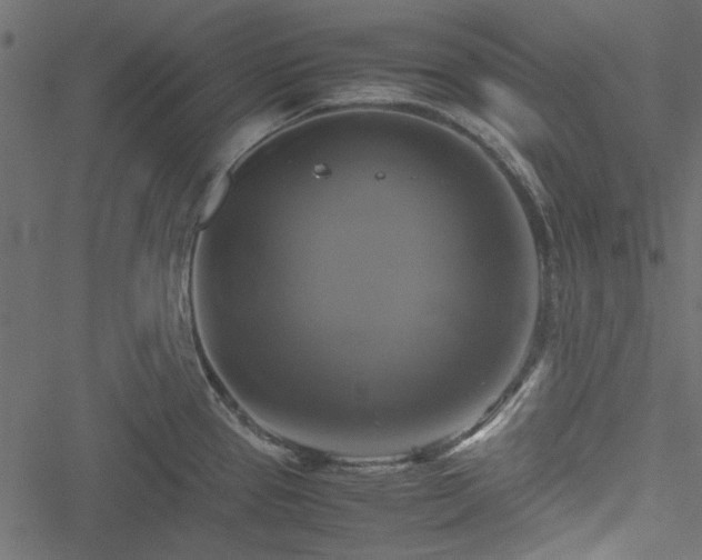 X0000051241337200506171100