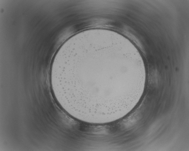 X0000051241338200506171100