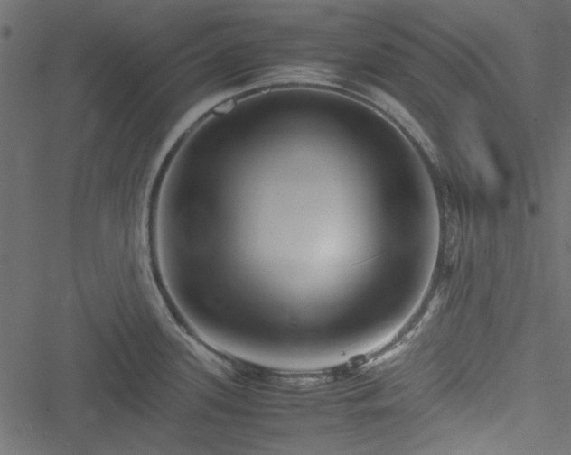 X0000051241339200506171100