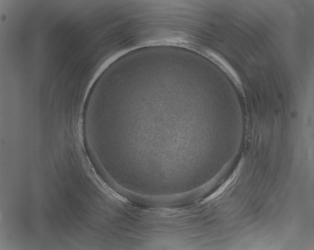 X0000051241340200506171100