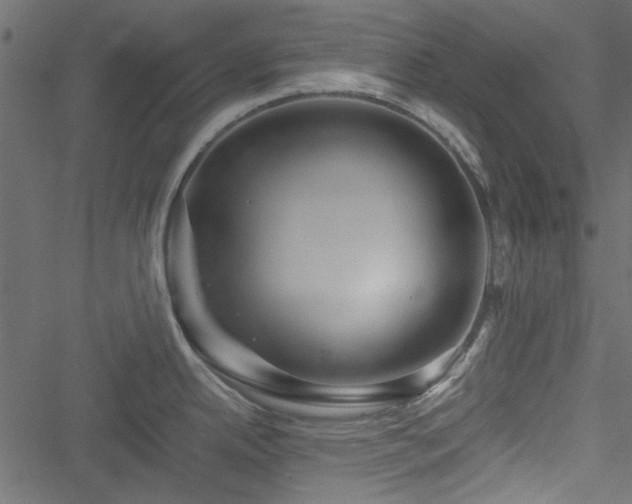 X0000051241342200506171100