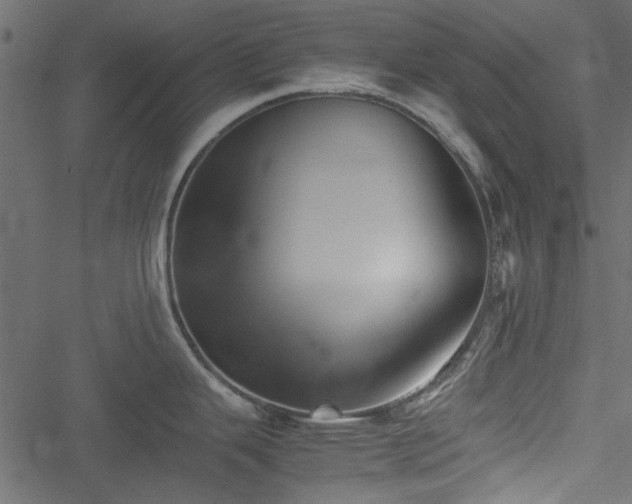 X0000051241343200506171101