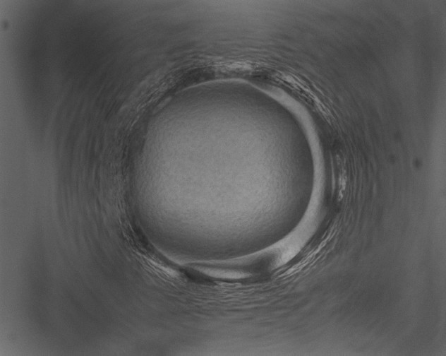 X0000051241345200506171100