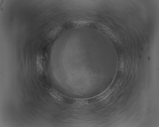 X0000051241346200506171100