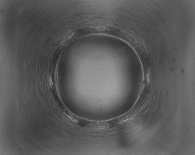 X0000051241347200506171100