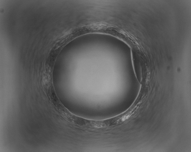 X0000051241349200506171100