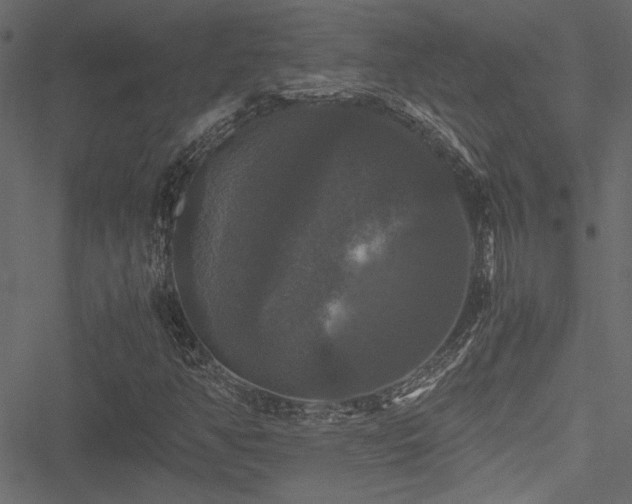 X0000051241350200506171100