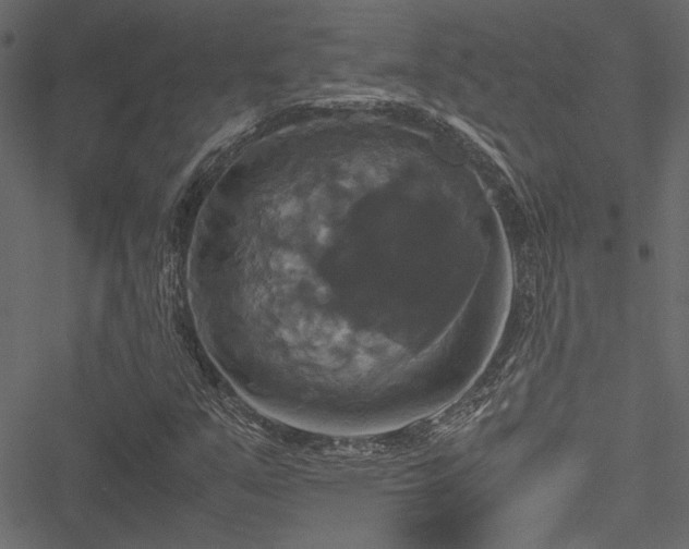 X0000051241351200506171100