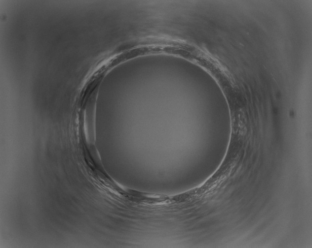 X0000051241352200506171100