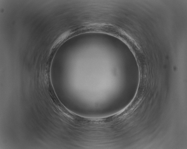 X0000051241354200506171100