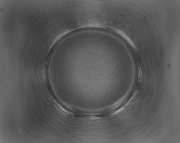 X0000051241356200506171100