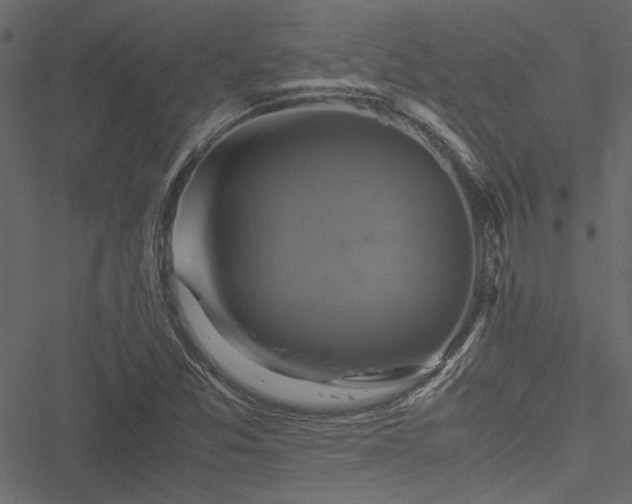 X0000051241357200506171100