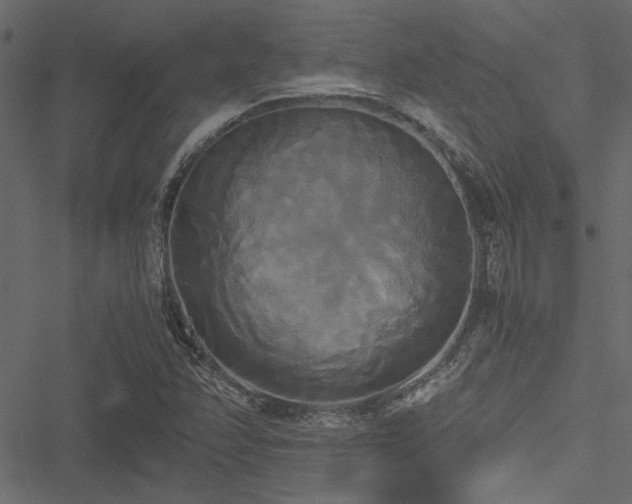 X0000051241358200506171100