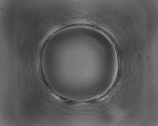 X0000051241359200506171100