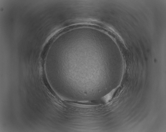 X0000051241360200506171059