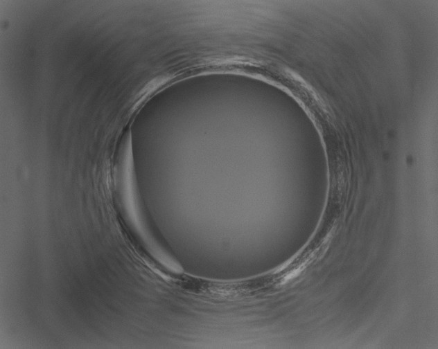 X0000051241361200506171059