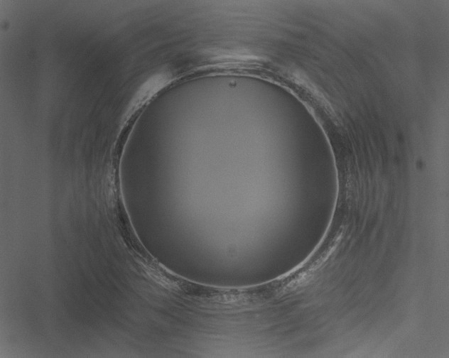 X0000051241362200506171059