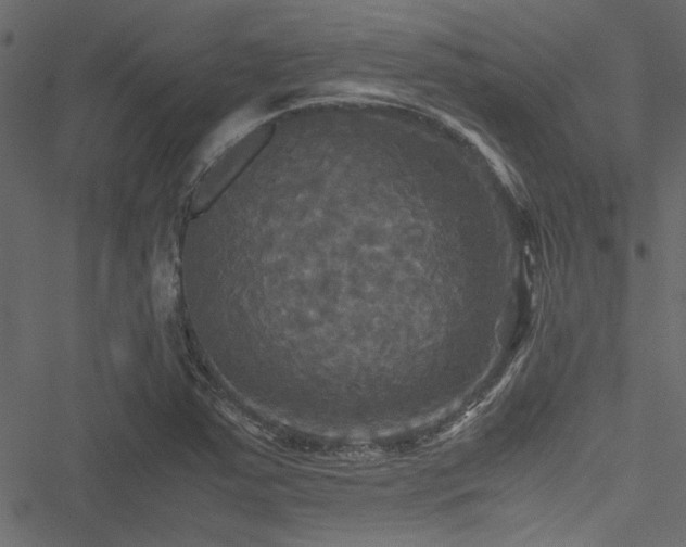 X0000051241363200506171059