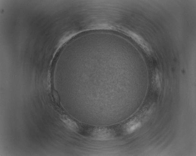 X0000051241364200506171059