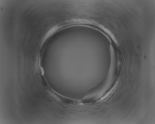 X0000051241365200506171059