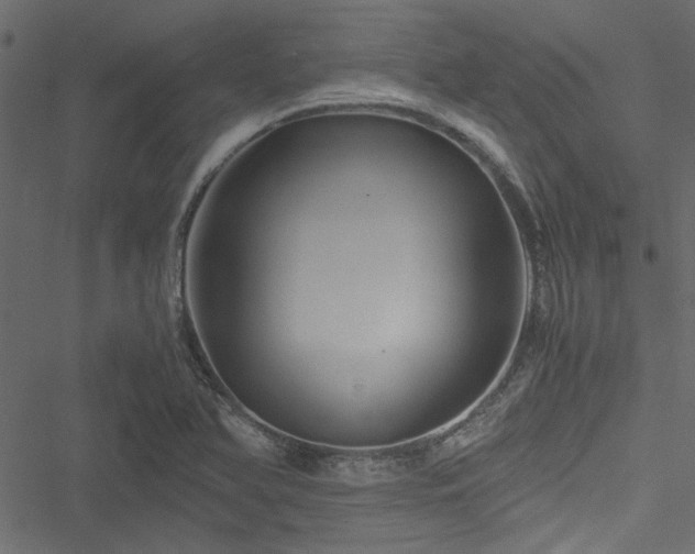 X0000051241366200506171059